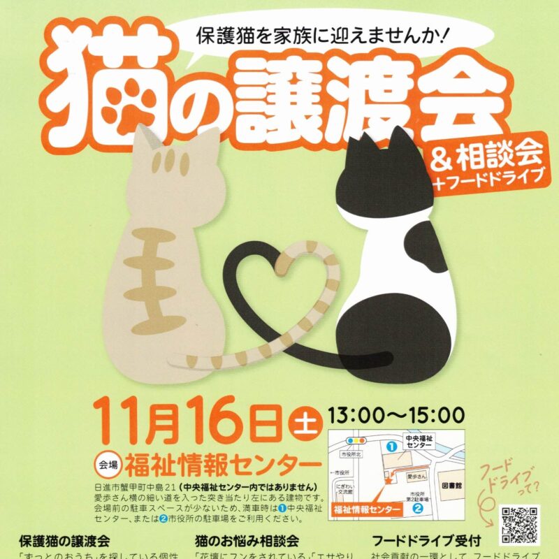 猫の譲渡会&相談会+フードドライブ