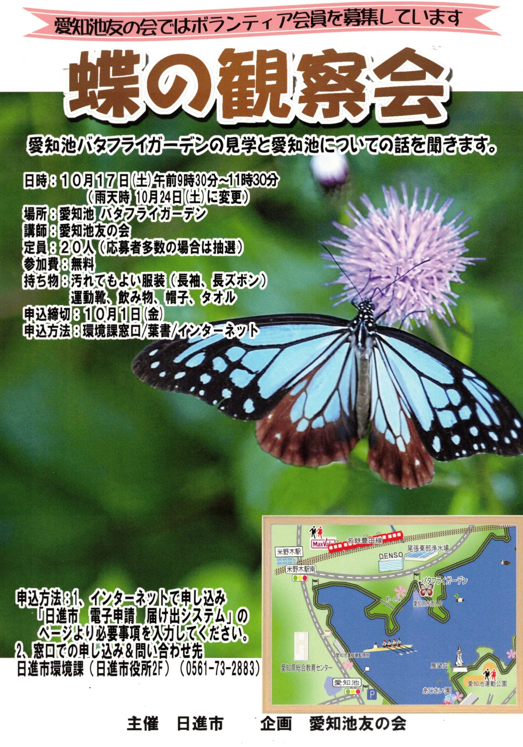 蝶の観察会
